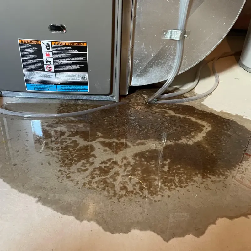 Appliance Leak Cleanup in Lebanon, MO